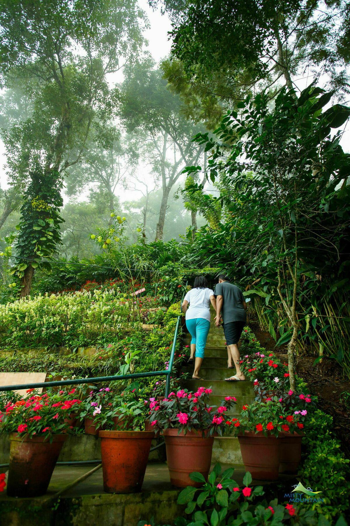 Misty Mountain Resort Munnar Eksteriør billede