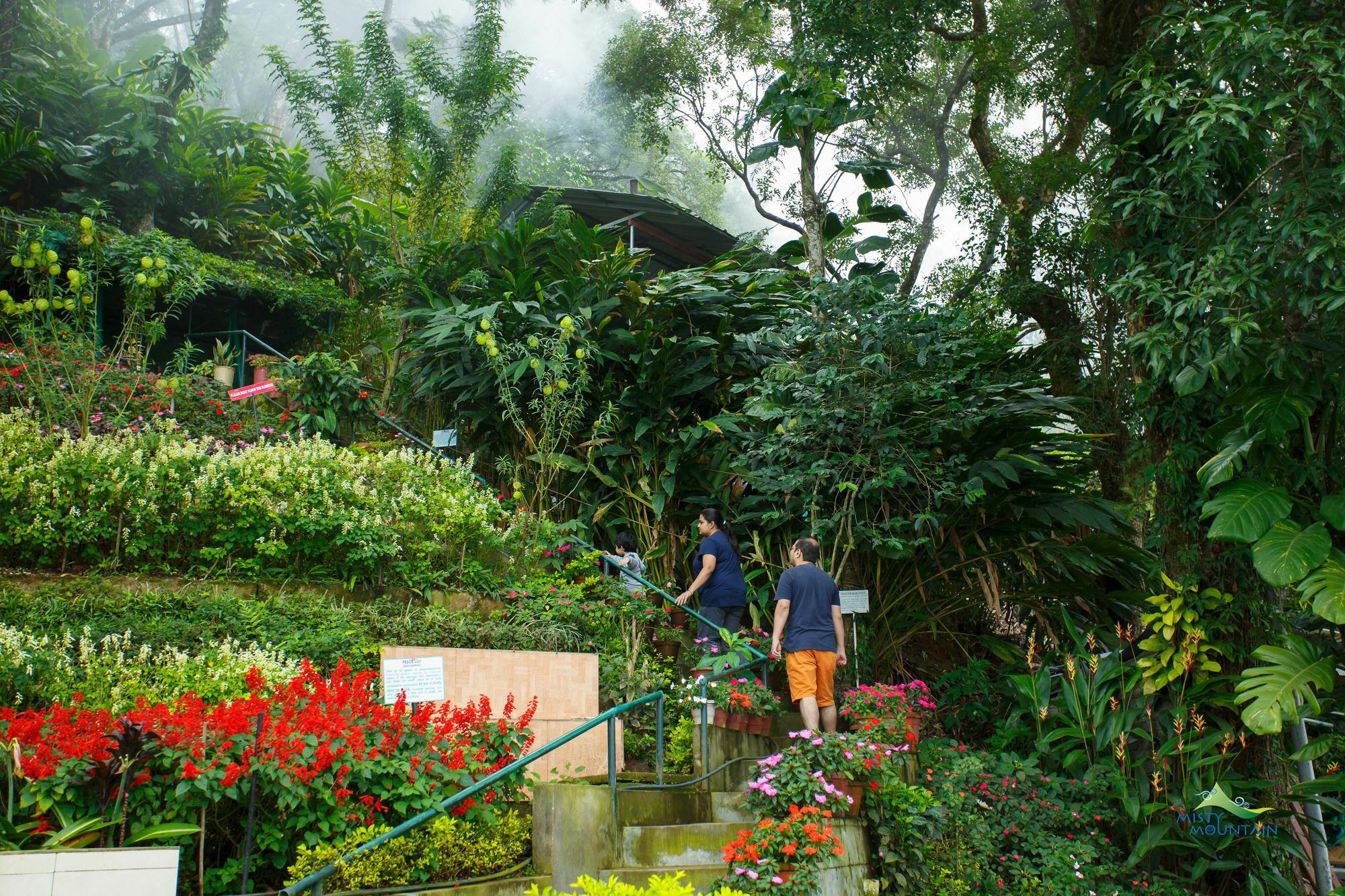 Misty Mountain Resort Munnar Eksteriør billede